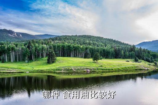 什么食用油最贵最好,家庭食用油用什么油最好