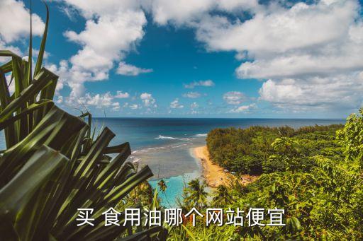 买 食用油哪个网站便宜
