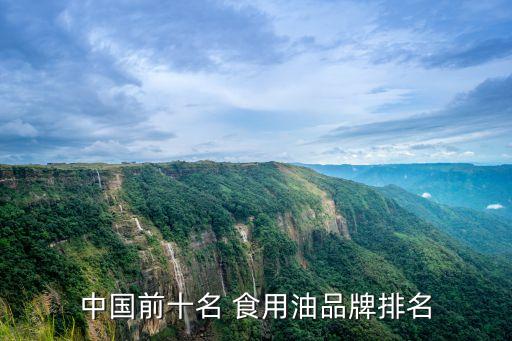 中国前十名 食用油品牌排名