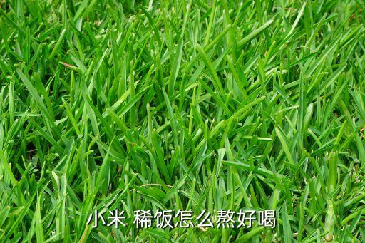 小米 稀饭怎么熬好喝