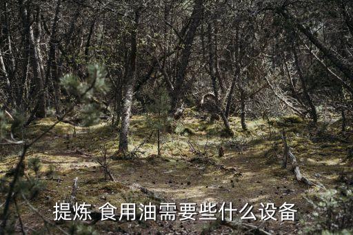提炼 食用油需要些什么设备