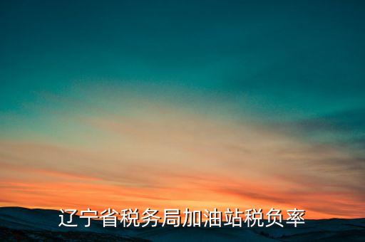 辽宁省税务局加油站税负率
