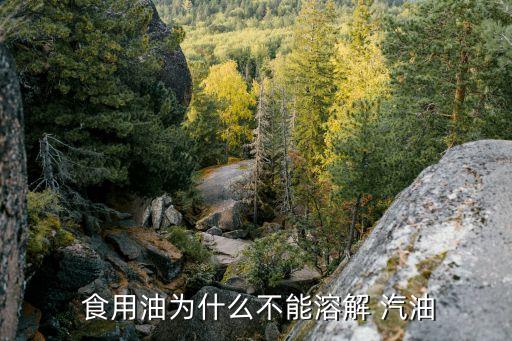  食用油为什么不能溶解 汽油