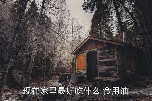 现在家里最好吃什么 食用油