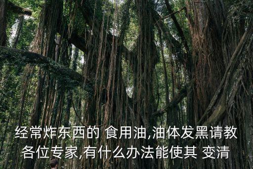 经常炸东西的 食用油,油体发黑请教各位专家,有什么办法能使其 变清