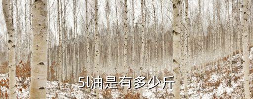 5l油是有多少斤
