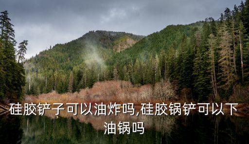 硅胶铲子可以油炸吗,硅胶锅铲可以下油锅吗