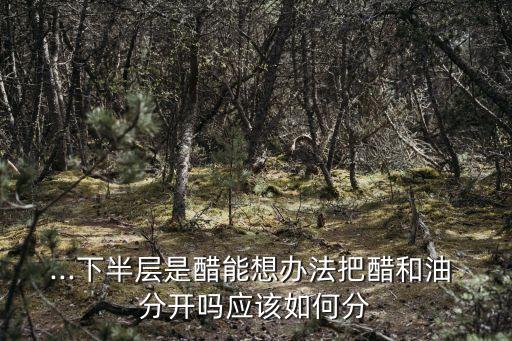...下半层是醋能想办法把醋和油 分开吗应该如何分