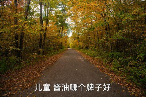 儿童 酱油哪个牌子好