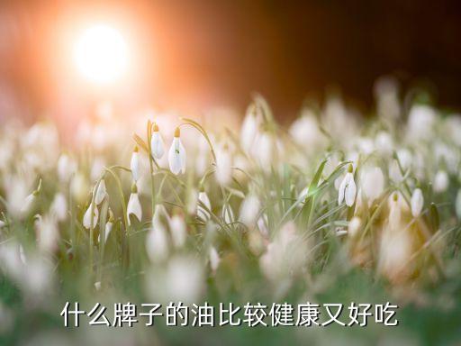 什么牌子的油比较健康又好吃
