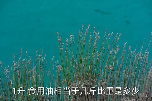 1升 食用油相当于几斤比重是多少