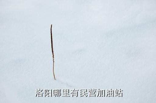 洛阳食用油招商电话多少,福临门食用油招商电话