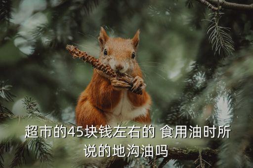  超市的45块钱左右的 食用油时所说的地沟油吗