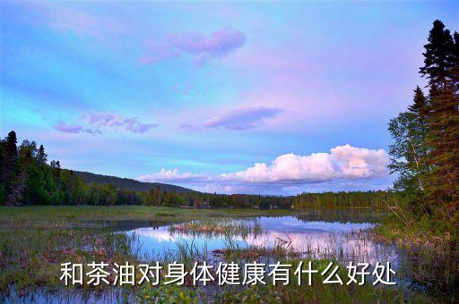 和茶油对身体健康有什么好处