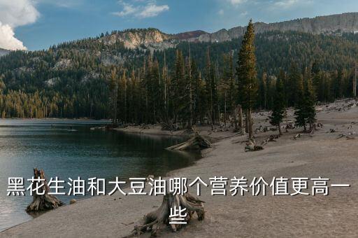 豆类和什么食用油最好,食用油什么执行标准最好