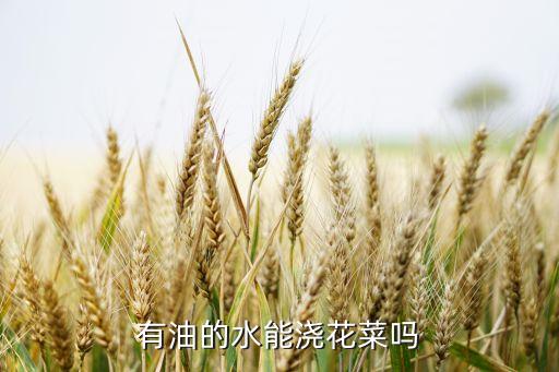 有油的水能浇花菜吗