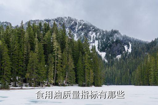  食用油质量指标有那些