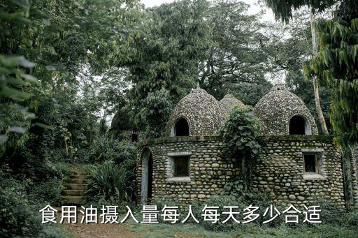  食用油摄入量每人每天多少合适