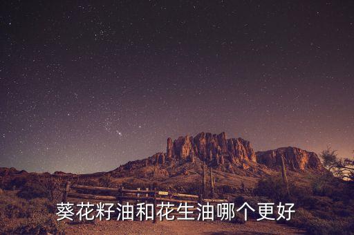 葵花籽油和花生油哪个更好