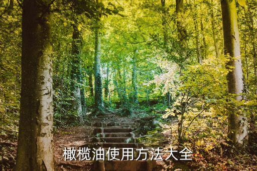 橄榄油使用方法大全