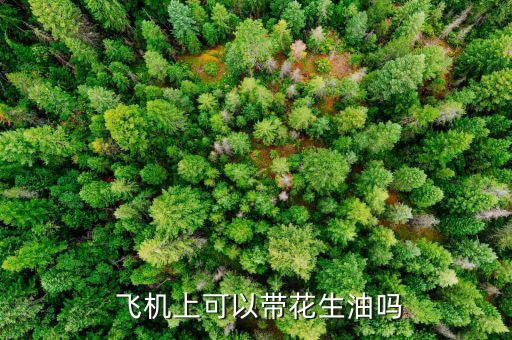  飞机上可以带花生油吗