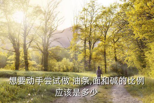 想要动手尝试做 油条,面和碱的比例应该是多少