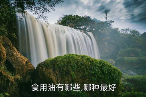  食用油有哪些,哪种最好