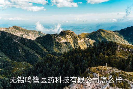 无锡鸣鹭医药科技有限公司怎么样