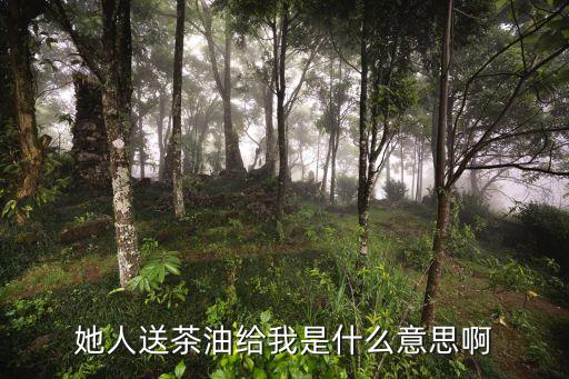 送食用油有什么意思,食用油qbaak0012s什么意思