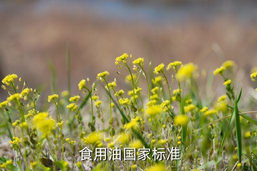  食用油国家标准