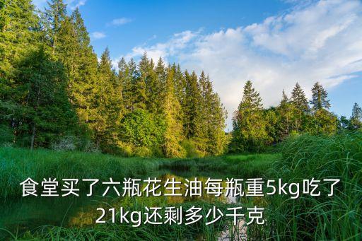 食用油21多少公斤,4升食用油是多少公斤