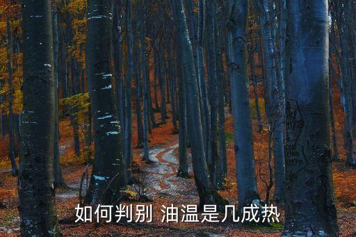 如何判别 油温是几成热