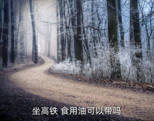 坐高铁 食用油可以带吗