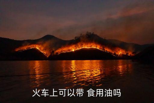 火车上可以带 食用油吗