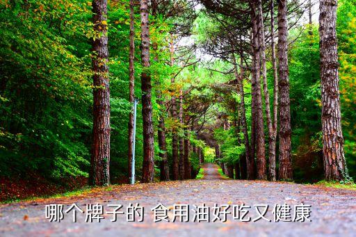 哪个牌子的 食用油好吃又健康
