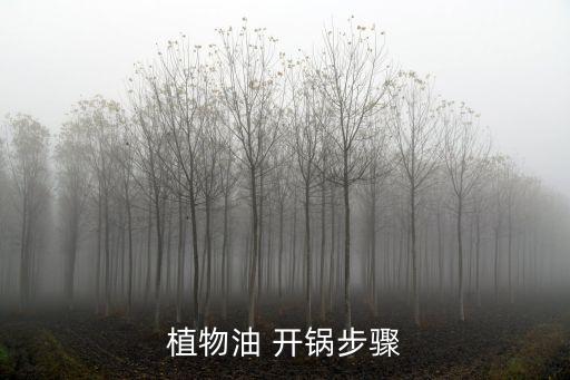 植物油 开锅步骤