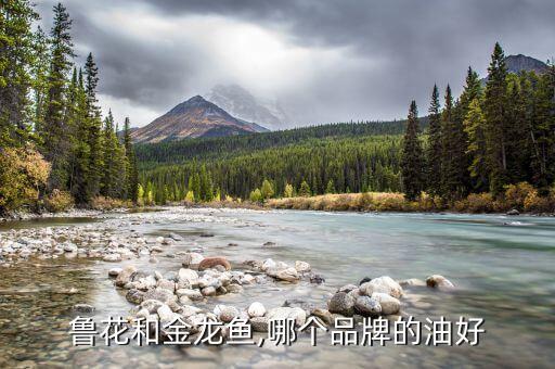 什么牌子食用油比较好,现在什么牌子的食用油比较好