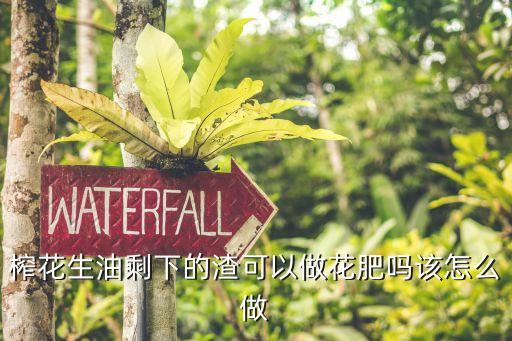 食用油怎么变花肥呢,废弃的食用油可以做花肥吗