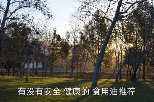 有没有安全 健康的 食用油推荐