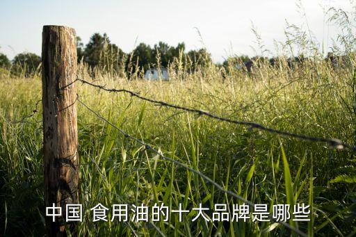 中国 食用油的十大品牌是哪些
