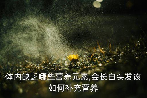 体内缺乏哪些营养元素,会长白头发该如何补充营养