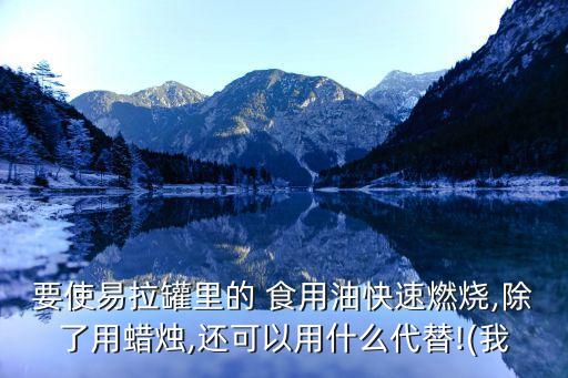 食用油怎么代替燃料油
