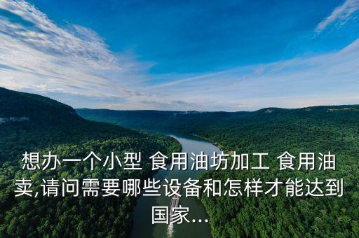 食用油店怎么开,汽车加食用油能开吗