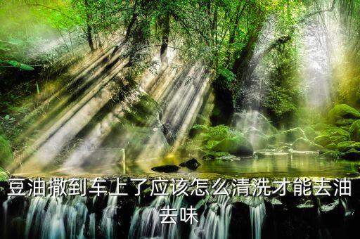 豆油撒到车上了应该怎么清洗才能去油去味