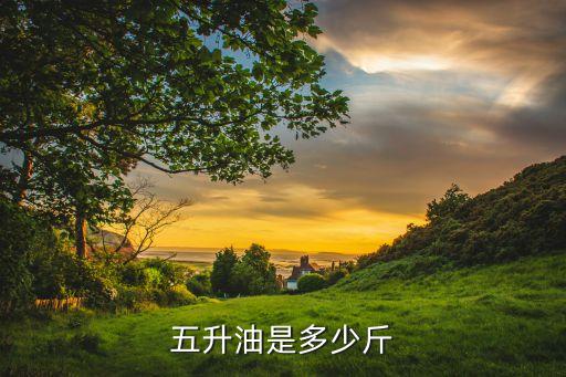 五升油是多少斤