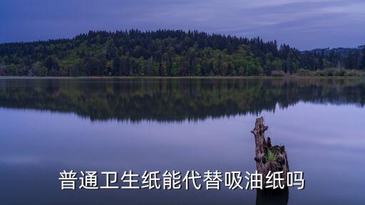 普通卫生纸能代替吸油纸吗