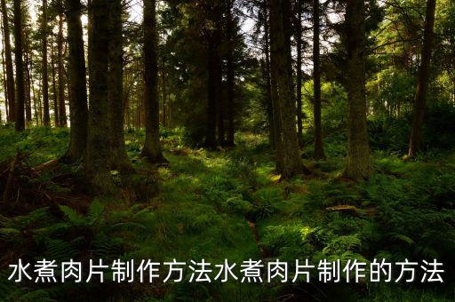水煮肉片制作方法水煮肉片制作的方法
