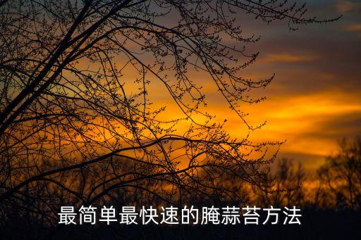 最简单最快速的腌蒜苔方法