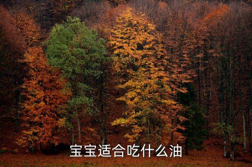 宝宝适合吃什么油