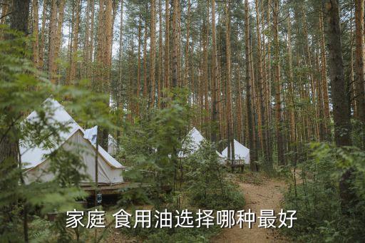家庭 食用油选择哪种最好